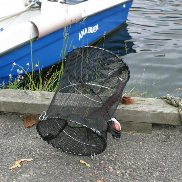 Teine sammenleggbar småfisk og krabber