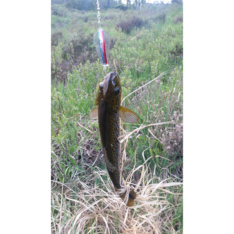 Tasmanian Devil fiskesluk. 45 Rainbow Trout. God på ørret, sjøørret og laks. Fisker på 2 dybder.