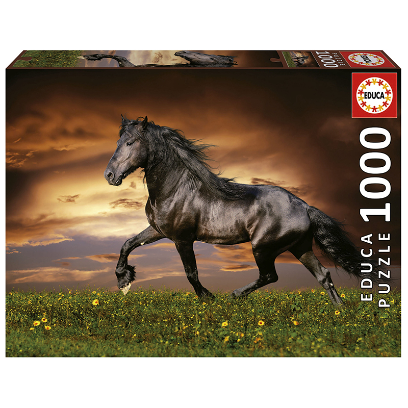 Puslespill Trotting horse, 1000 biter / brikker. Et pusslespill fra Educa puzzle.
