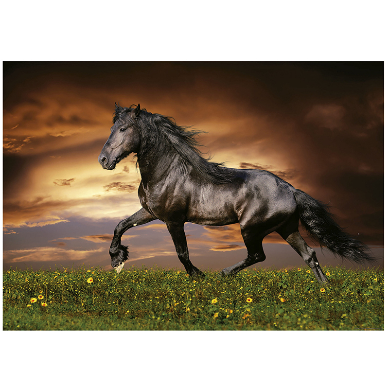 Educa Trotting horse – Puslespill med 1000 brikker - Bilde 2