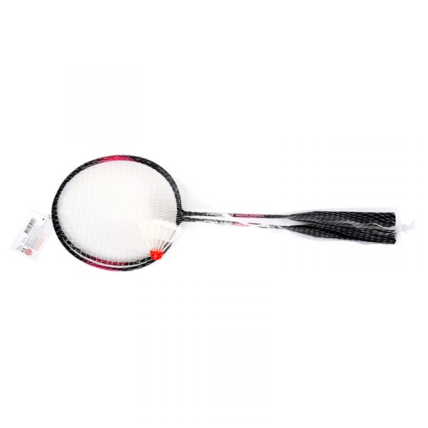 Badminton sett, hageleke, utendørs aktivitet.