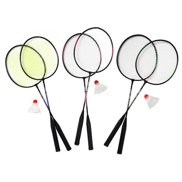 Badminton sett, hageleke, utendørs aktivitet.