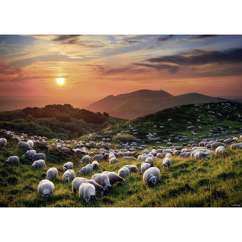 HEYE Puzzle “Sheep And Volcanoes” – 1000 Teile, 70x50 Cm, Naturaufnahme, FSC-zertifiziert