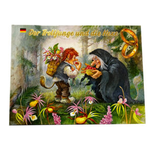 Der Trolljunge und die Hexe. Bok (DE)